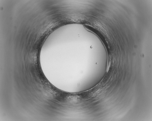 X0000088570595200706151648