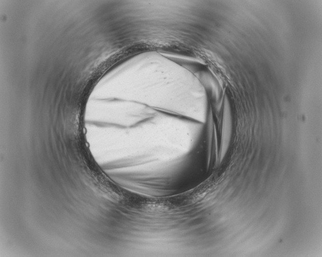 X0000088570596200706151648