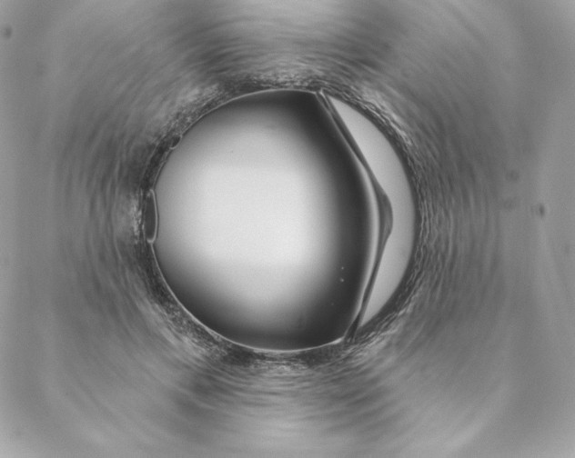 X0000088570597200706151648