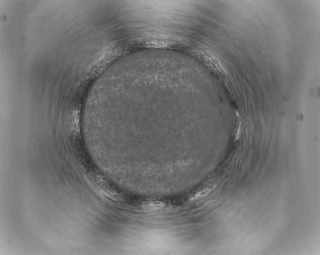 X0000088570598200706151648