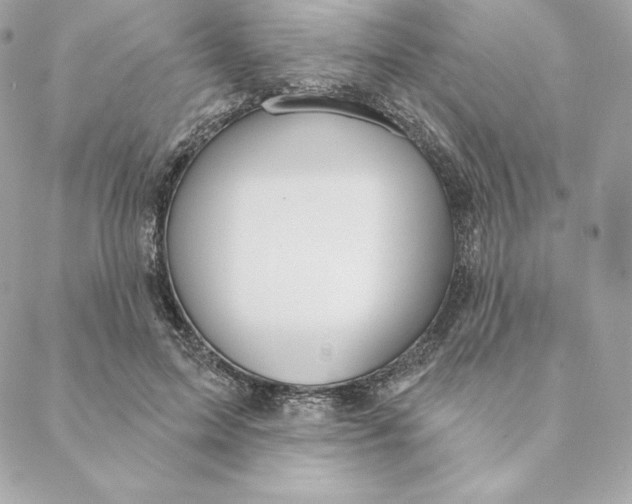 X0000088570599200706151648