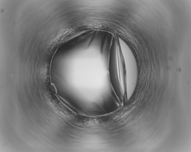 X0000088570600200706151648