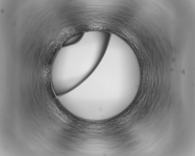 X0000088570601200706151648