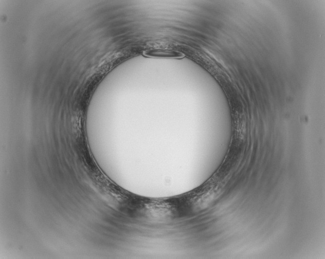 X0000088570603200706151648