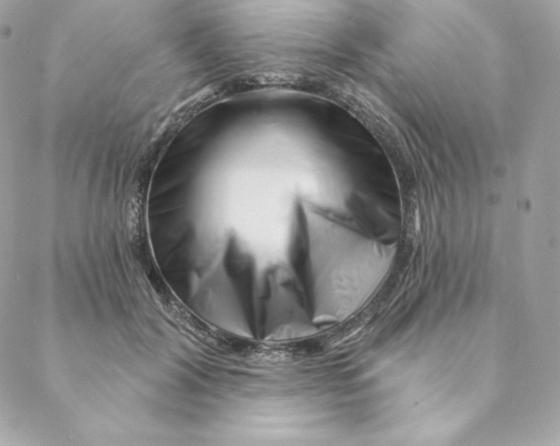 X0000088570604200706151648