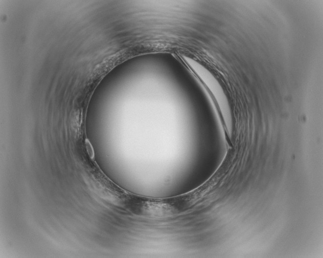 X0000088570605200706151648