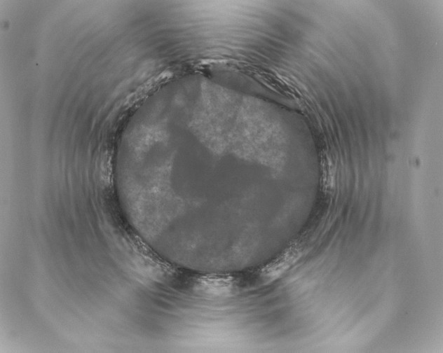 X0000088570606200706151648