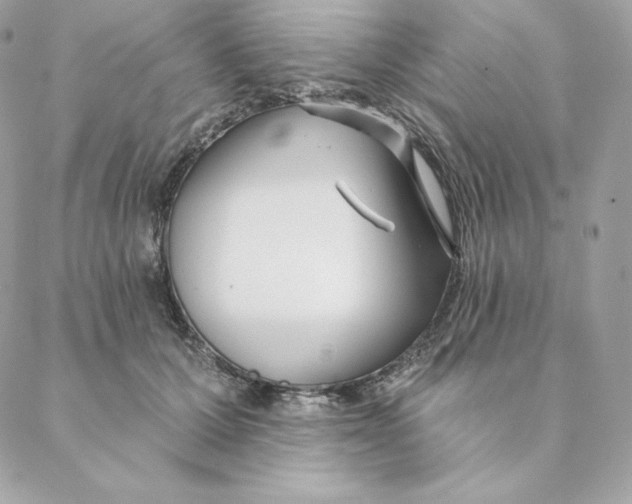 X0000088570607200706151648