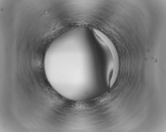 X0000088570608200706151648