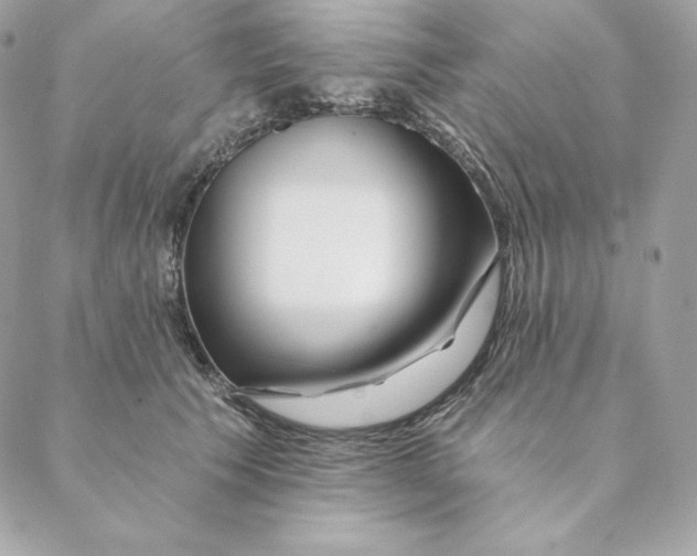 X0000088570609200706151648