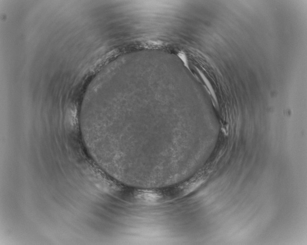 X0000088570610200706151648