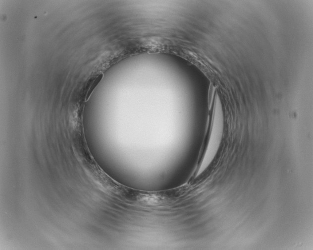 X0000088570611200706151648