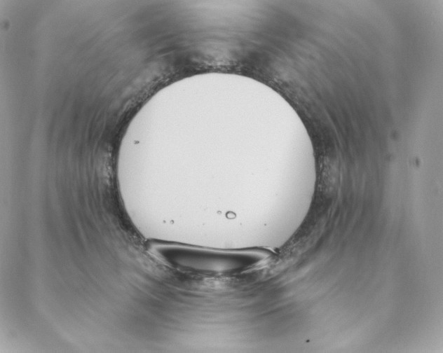 X0000088570612200706151648