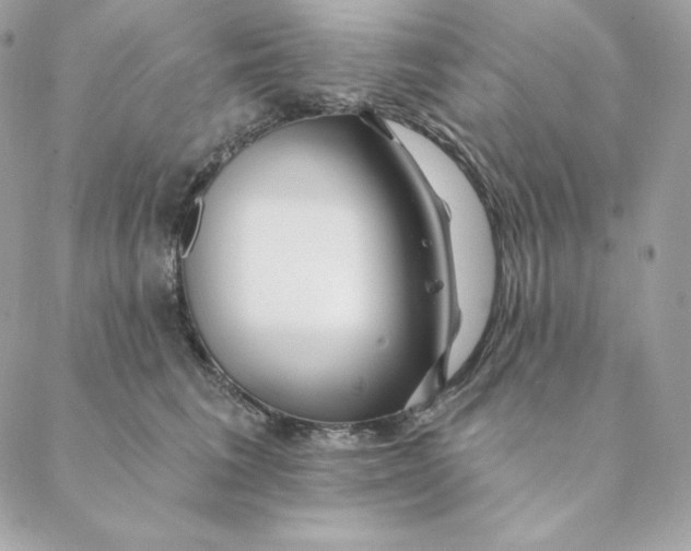 X0000088570613200706151648