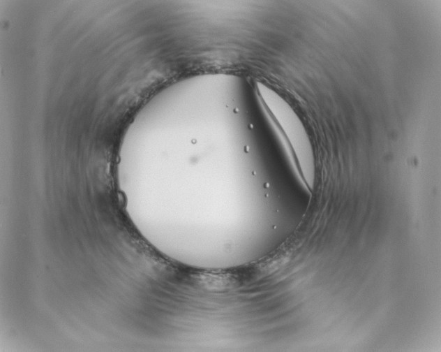 X0000088570615200706151648