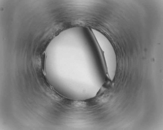 X0000088570617200706151648