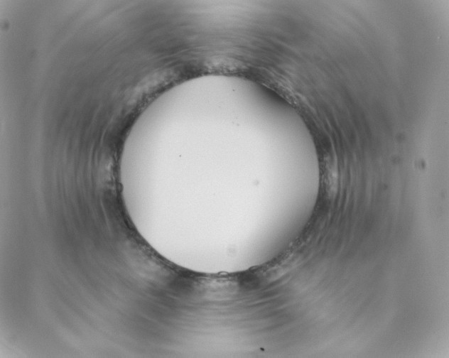 X0000088570619200706151648