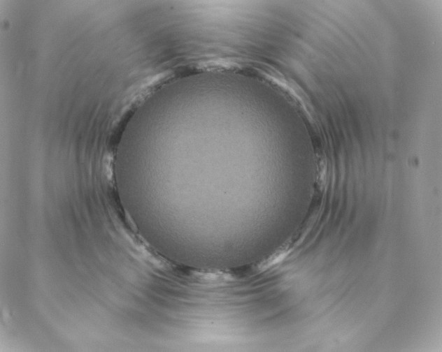 X0000088570621200706151648