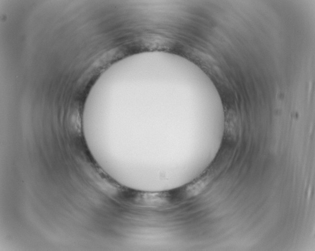 X0000088570622200706151648