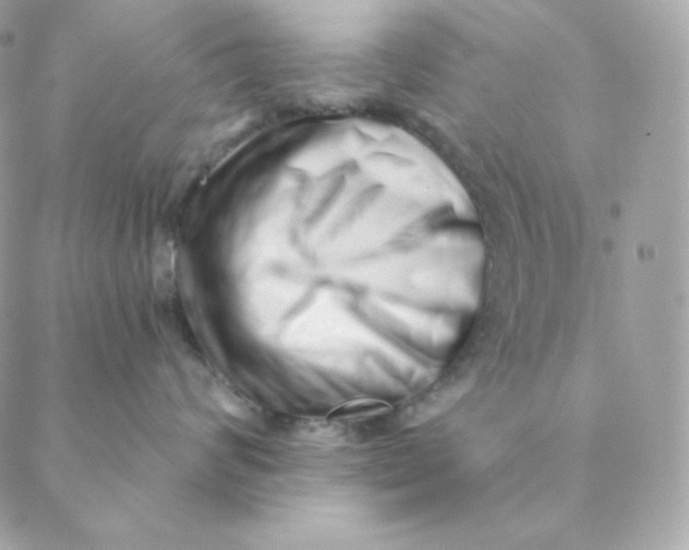 X0000088570624200706151648