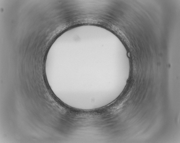 X0000088570625200706151647