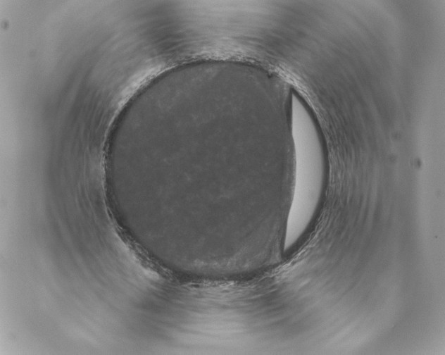 X0000088570626200706151647