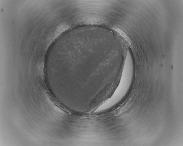 X0000088570627200706151647