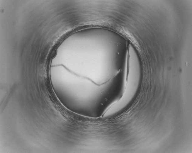 X0000088570628200706151647