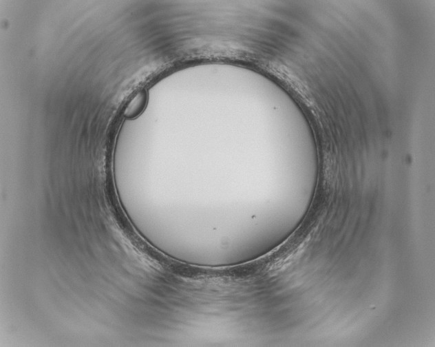 X0000088570629200706151647