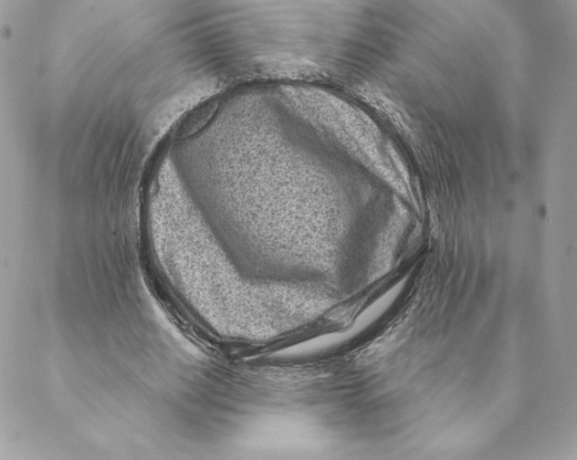 X0000088570630200706151647