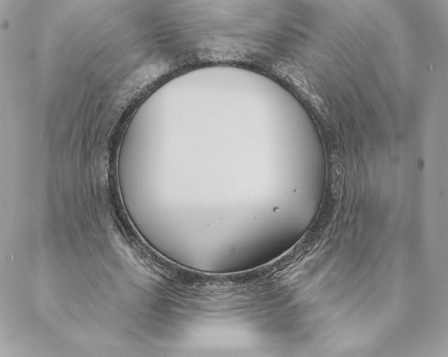 X0000088570631200706151647