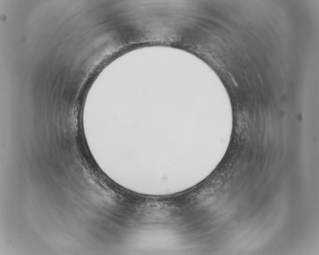 X0000088570632200706151647