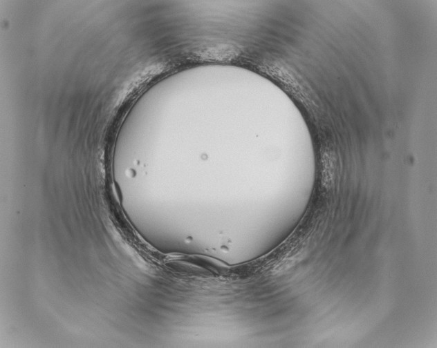 X0000088570634200706151647