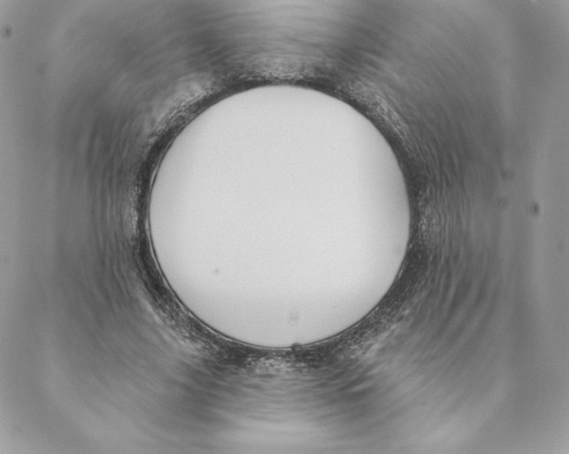 X0000088570635200706151647