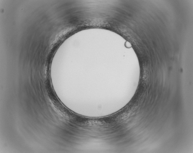 X0000088570636200706151647