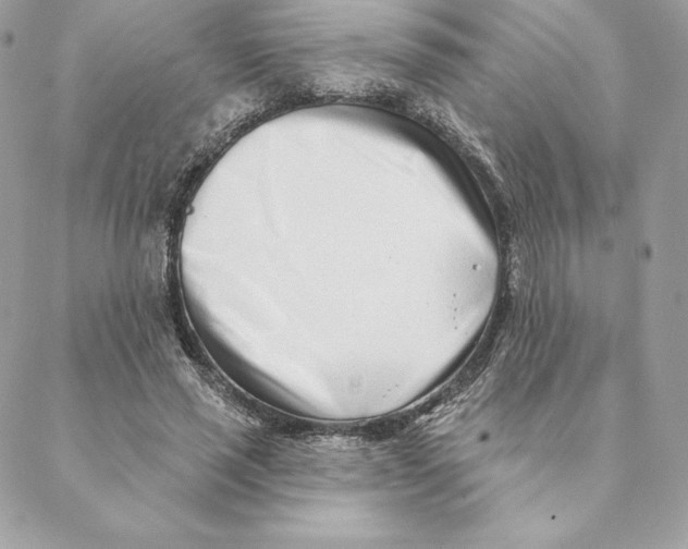 X0000088570637200706151647