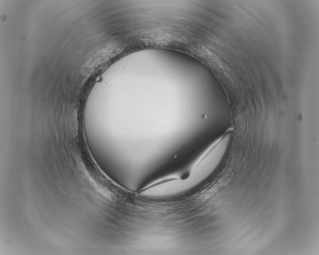 X0000088570638200706151647