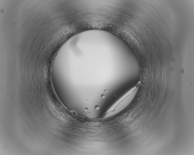 X0000088570639200706151647