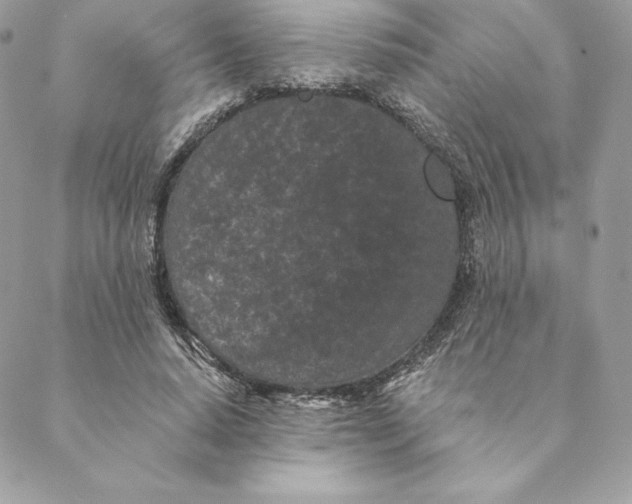 X0000088570640200706151647