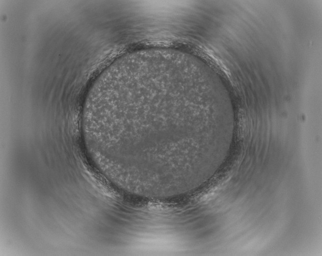 X0000088570641200706151647