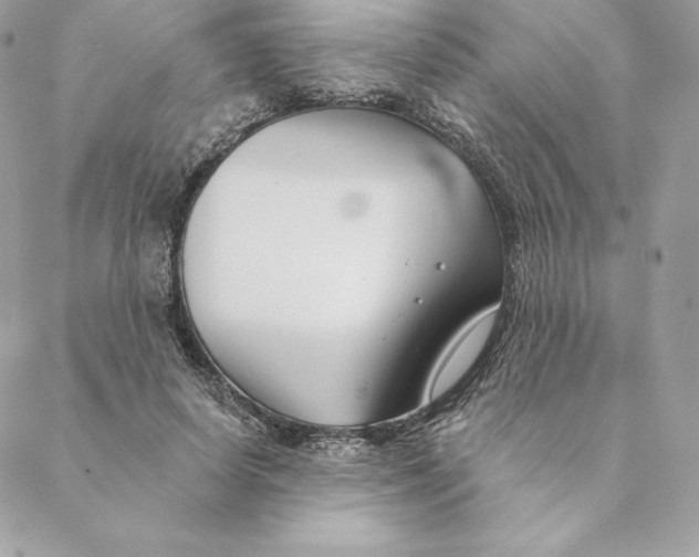 X0000088570642200706151647