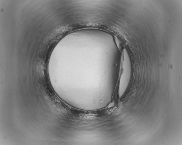 X0000088570643200706151647