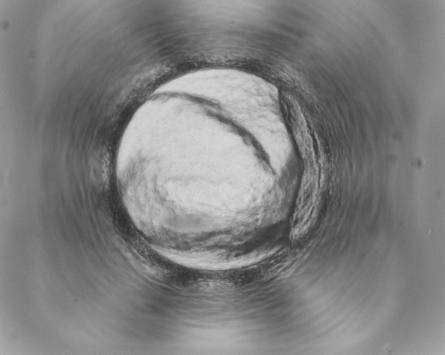 X0000088570644200706151647