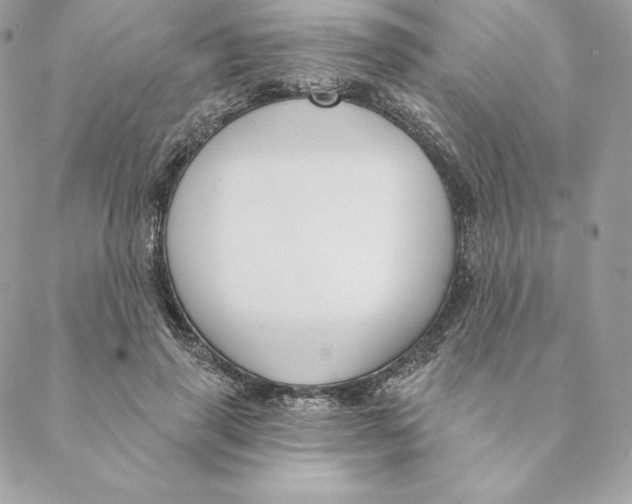 X0000088570645200706151647