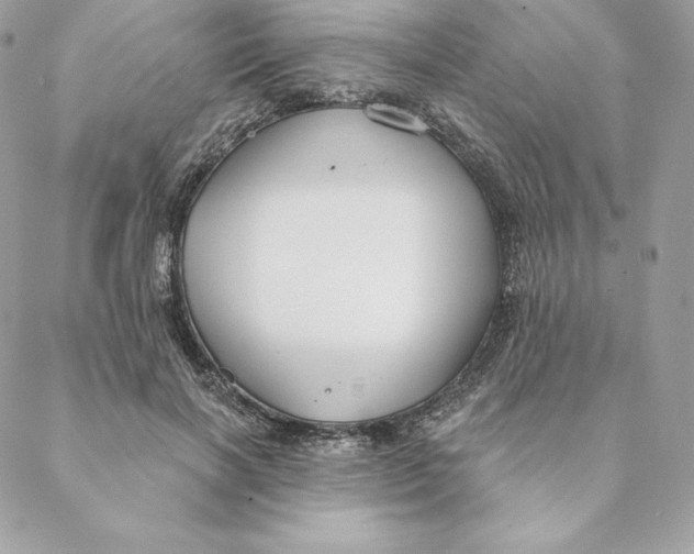 X0000088570646200706151647