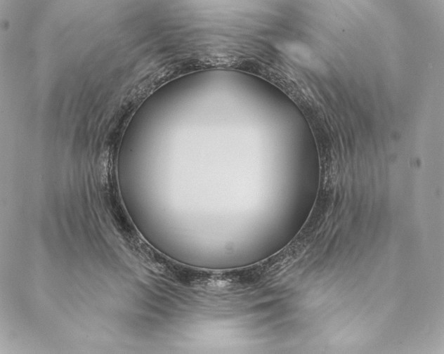 X0000088570647200706151647