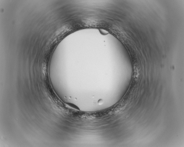 X0000088570648200706151647