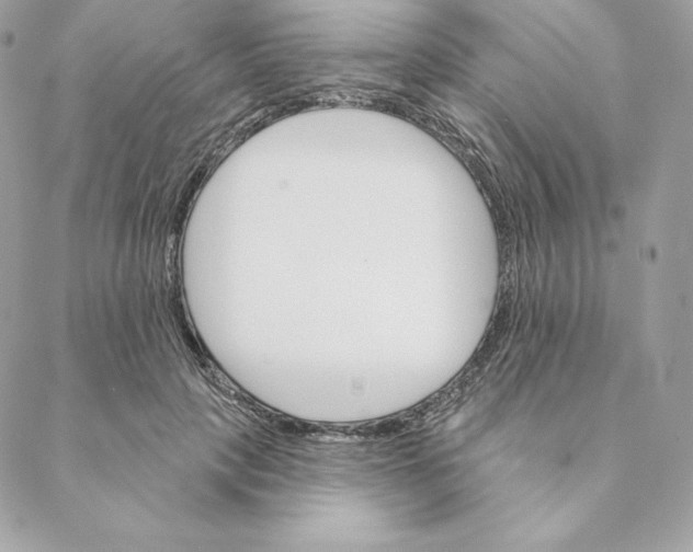 X0000088570649200706151647