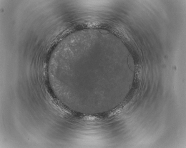 X0000088570650200706151647