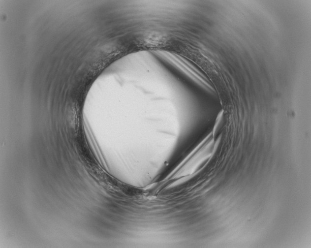 X0000088570651200706151647